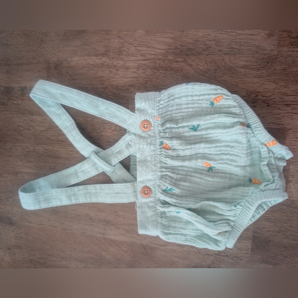 Cat & Jack Green Overalls with Carrot Embroidery